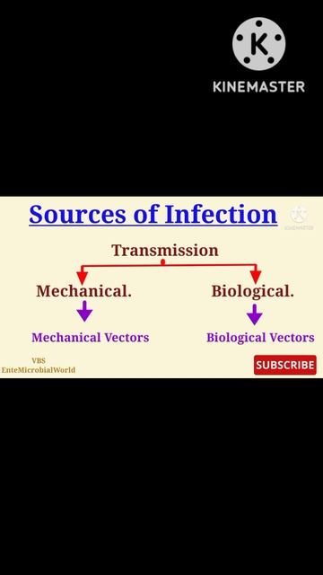 Vectors @EnteMicrobialWorld #microbiology #microbiologyshorts #infectiousdiseases #infection #vbs