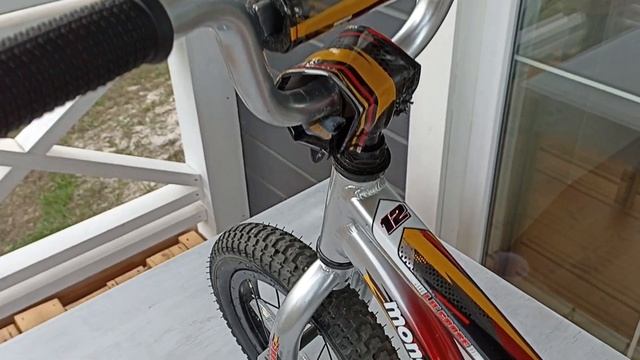 Детский велосипед Mongoose Lil Goose 12 (левая сторона)