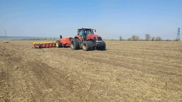 Посев подсолнечника vaderstad tempo l 16