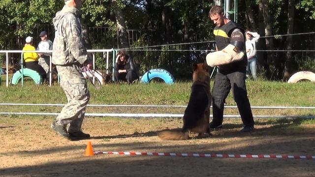 29 АРАГОРН ФОМ ХАУС КСЕНИ +++