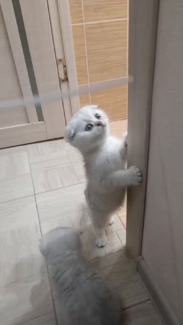 Мальчик