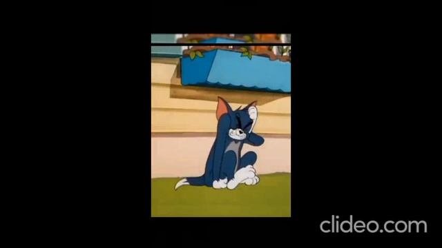 так и 23