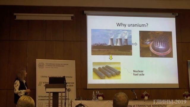 Clay minerals and zeolites in radioactive waste management (F. G. Noli, Greece)