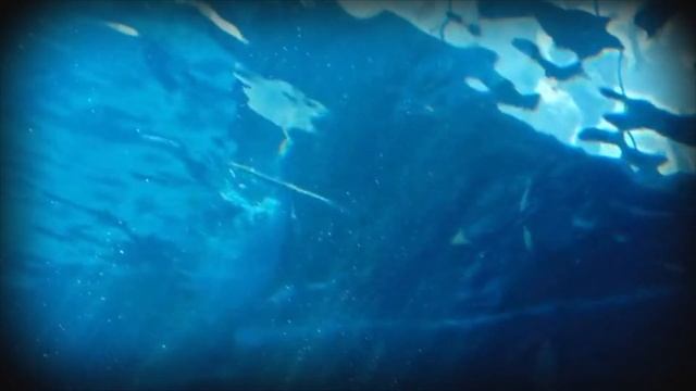 Deep sleep, relaxing music, aquarium for relaxation, meditation music, best relax music, calm music