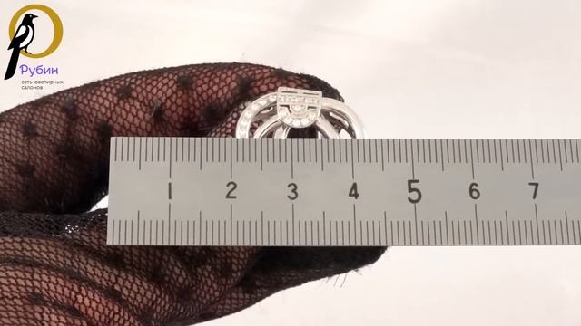 3100005643572