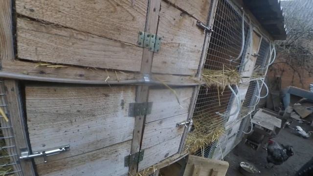 ДАЮ КРОЛИКАМ МАЛИНУ