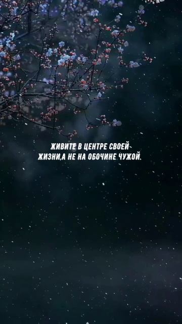 #767 Цитата дня. Мотивация.