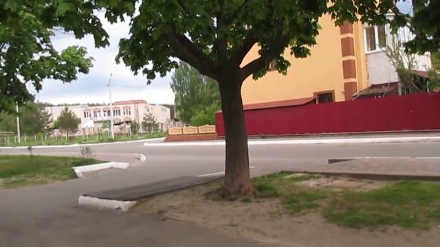 Атлет ТБ (Atlet TV) 11.05.2017 вид з лавочки Атлету - клен з паразітами - благоустрій