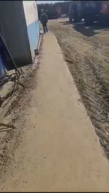 VID-20250218-WA0236