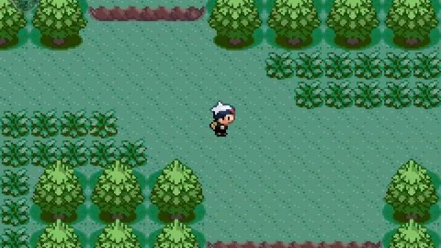 Let's Play Pokémon Rubin RANDOMIZER Part 2