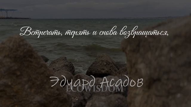 Э.Асадов - Не привыкайте к счастью никогда! #асадов #непривыкайте #стихи #поэзия #ecowisdom