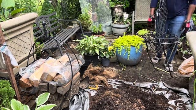 Creating 9 Hanging Baskets From Scratch Using Most Plants Already Growing in my Garden, Tips etc..