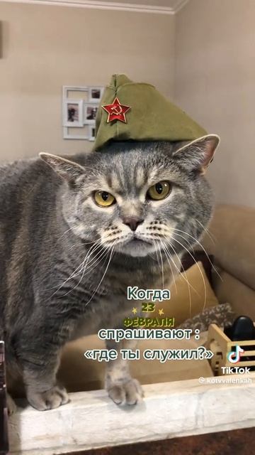 23 февраля