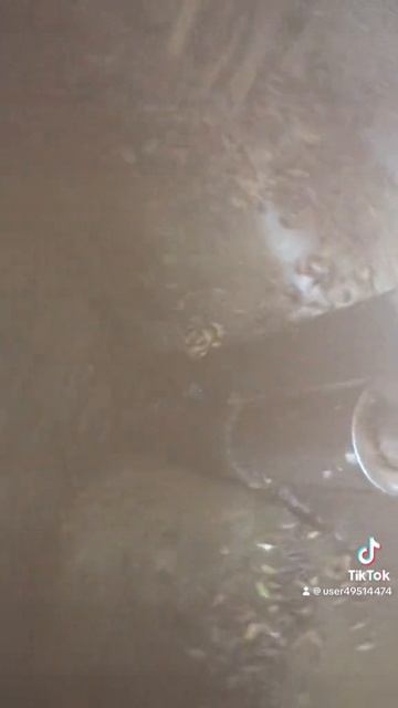 Кондитерское оборудование для производства рахат-лукум (варка2). Восточные сладости.