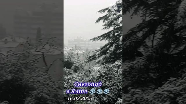 🟢Снегопад❄️в Ялте//16.02.2025//Зимняя сказка в Ялте❄️Лучшие три дня в моей жизни//Пятая часть