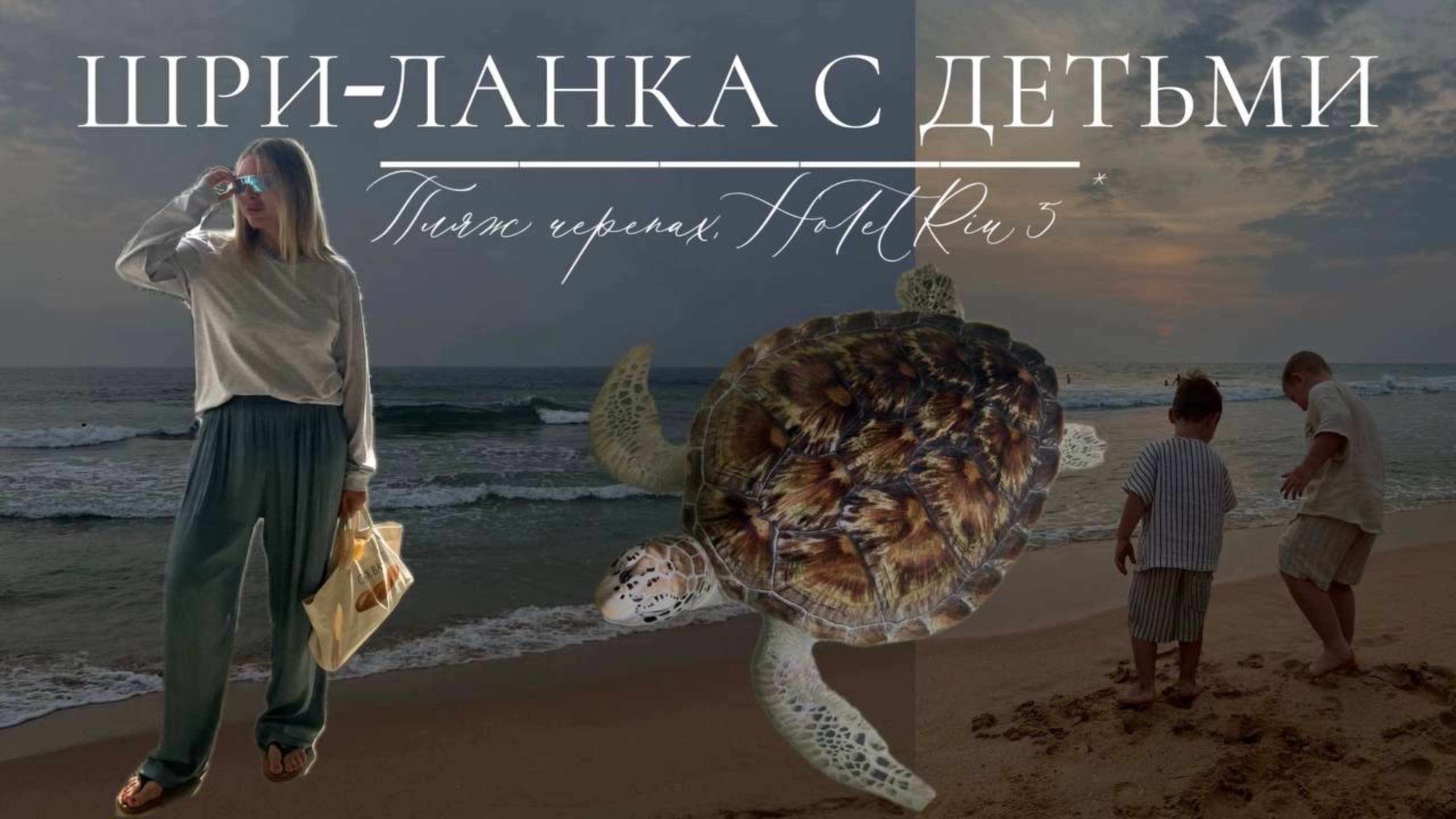 Влог: отпуск на Шри-Ланке с детьми, Hotel Riu 5*, поездка на пляж черепах и на черепашью ферму