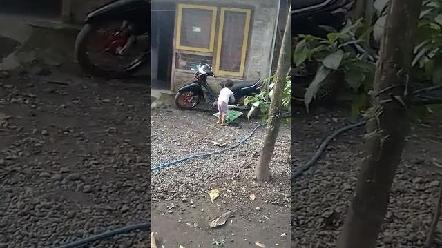 Main XXX Di Kebun Orang
