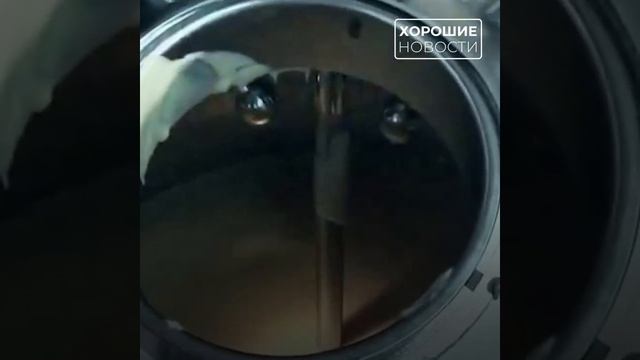 Оверсайз-стекло, «умная» перчатка для хирургов и другие новые российские разработки