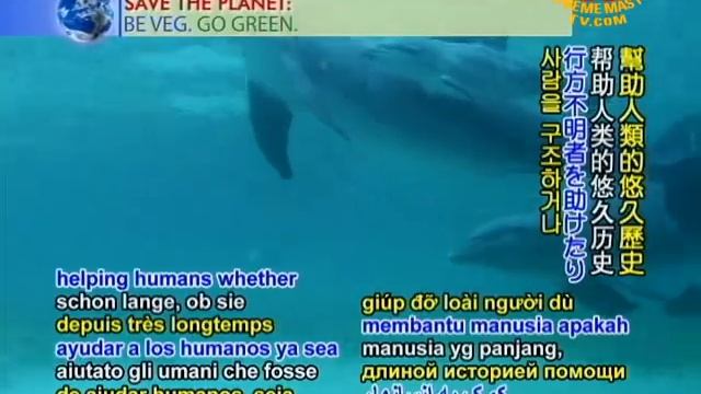 A Whole New World: Tapping into Telepathy with Animal Communicator Mary Getten (2/2)