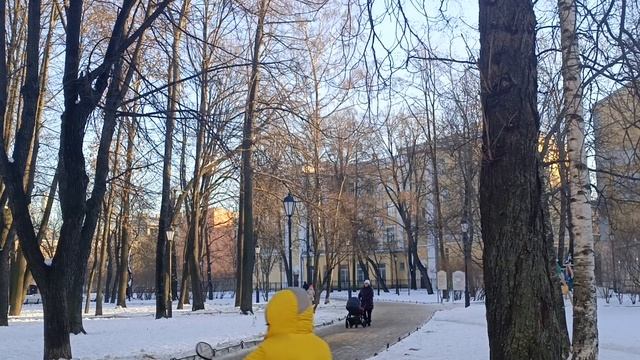 Зимний сад