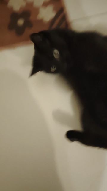 1000065604.mp4