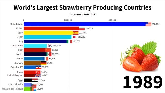 18 - World's Largest Strawberry Producing Countries