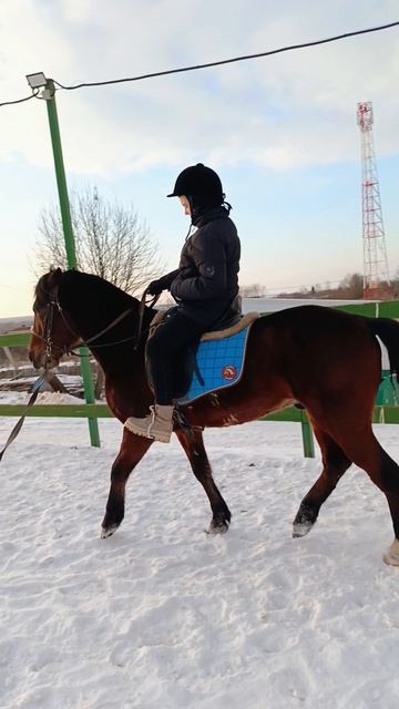 Алена и Аквилон, иппотерапия.