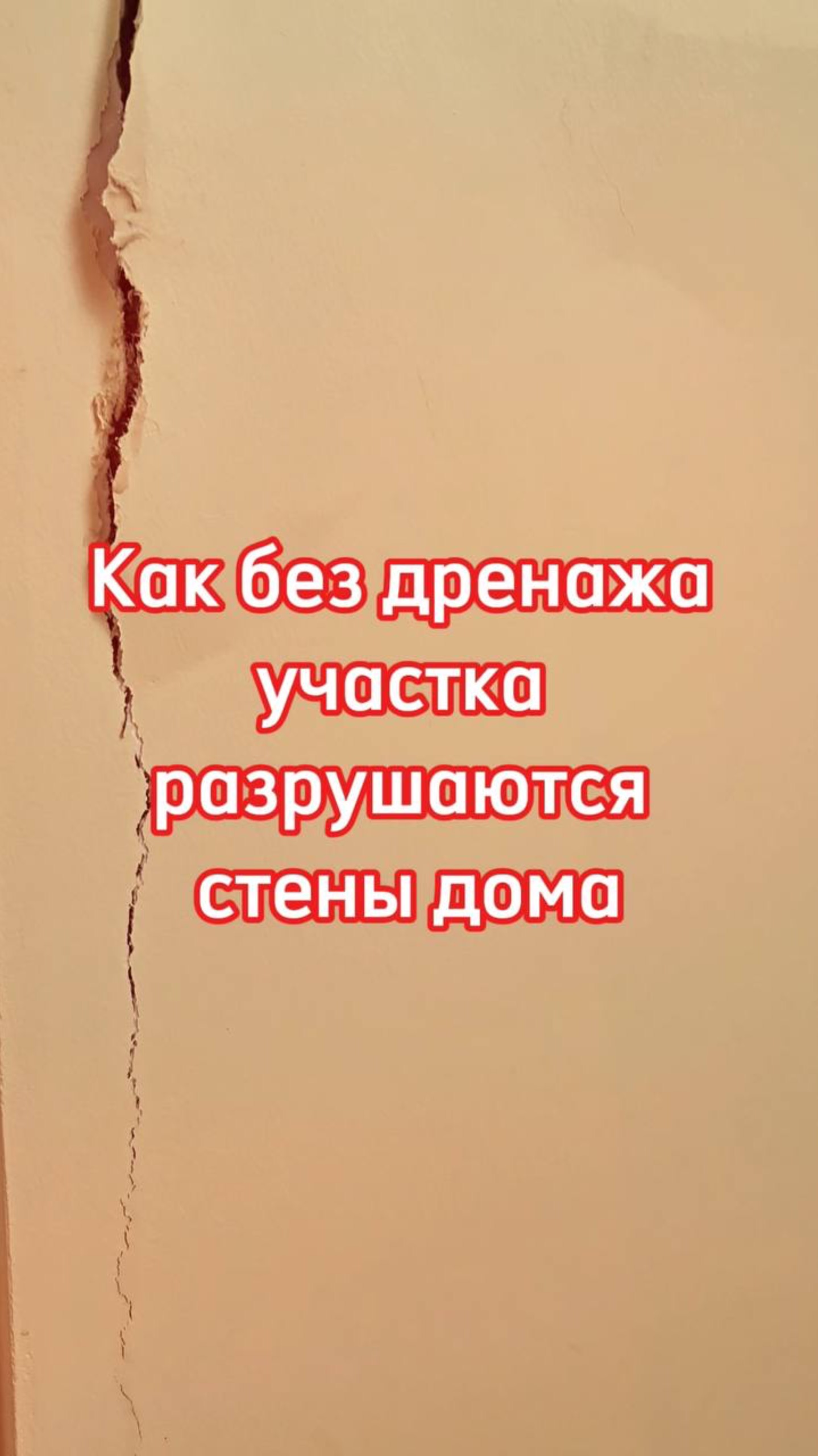 Подписывайтесь на наш канал ❤️