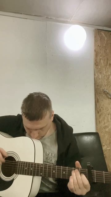 Вячеслав Бутусов Гибралтар Лабрадор кавер под гитару разбор аккорды #гитарист #кавернагитаре