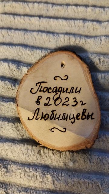 Семейное дерево