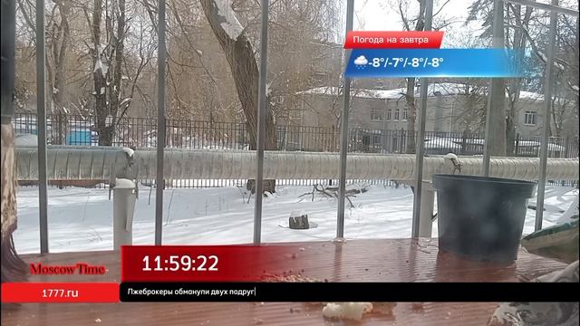 12:00, Вс, 23 февраля