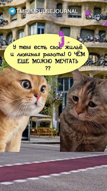 Всё есть #мыкотики #вмем #разговор #анекдот #шутки #животные #юмор #кошки #смешное #мемы #скетчи