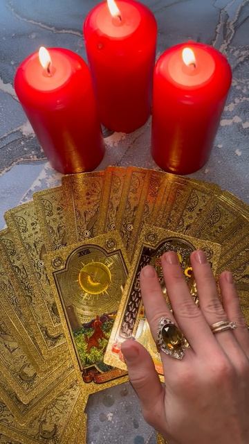 КАРТА ДНЯ 24 ФЕВРАЛЯ 2025 #таро #гадание