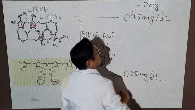 METABOLISMO DE CITOCROMOS (2) - clase 23 - Dr. José M. Carreón