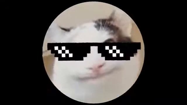 Beluga's Sound Effects #discord