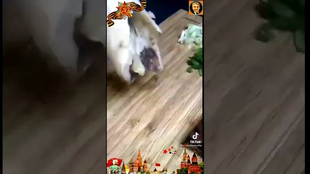 Полковник Исаев отмечал День Красной Армии и никакой другой! Помните об этом. С праздником всех!