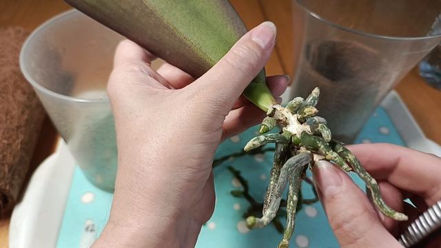 Делаем "колодец" из кокосового коврика.