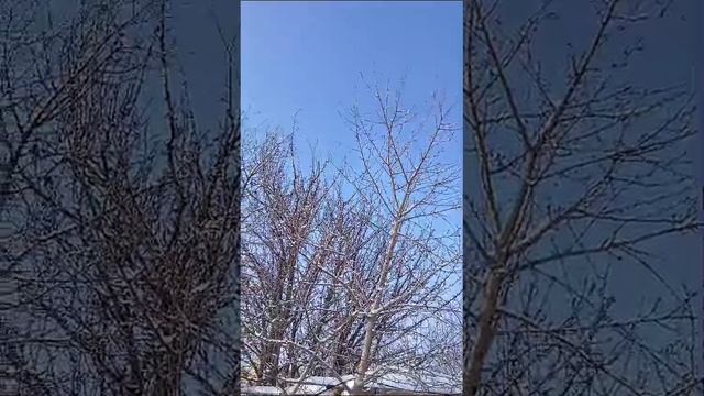 1000076314.mp4Разукрасилась ЗИМА!!!