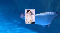 如今的#杨紫,不再只是“国民闺女 #yangzi