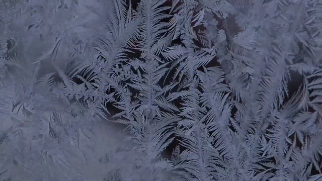 Это ВСЁ