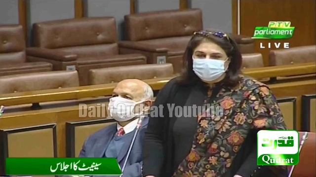 Islamabad | PPP Senator Rubina Khalid Sensational Speech In Senate Session | 14 Feb 2022
