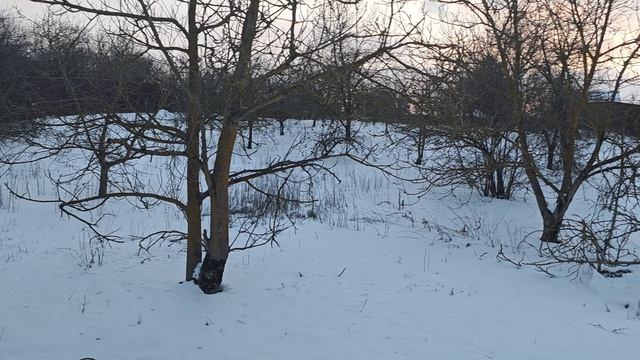 VID_20250223_180345