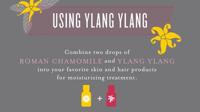 Ylang Ylang Essential Oil
