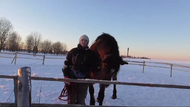 Поздравление от онлайн ученика Horse Familу