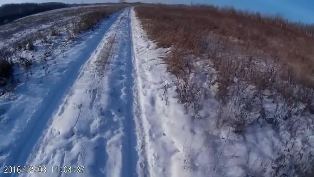 #32 охота на зайца,удачный день