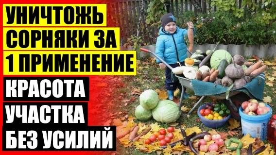 ВЕЩЕСТВО ОТ СОРНЯКОВ ВОЗЛЕ ЗАБОРА 77