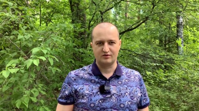 отзыв Ильи Цимбалиста о работе с Альбиной Торицыной