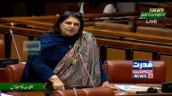 PPP Senator Rubina Khalid's speech in Senate on inflation and flour crisis