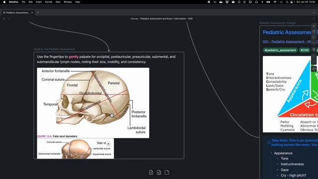 Using Obsidian Canvas to lay out Nursing Notes