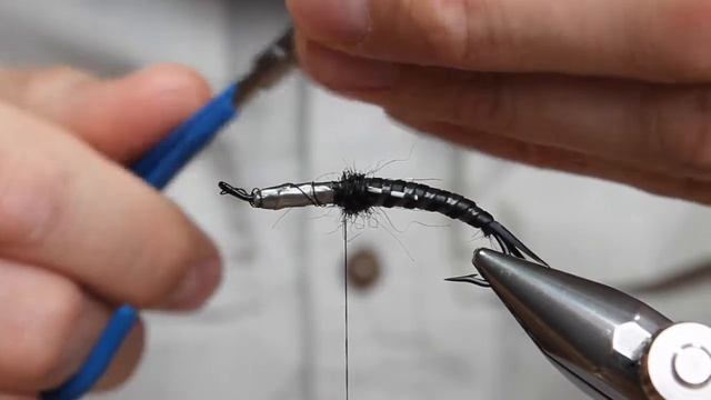 Giant Stonefly - AKA Eastern Salmonfly